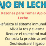Ajo en Leche el Remedio Natural para Regenerar Cuerpo y Alma