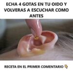 Recupera Tu Audición con Este Remedio Natural en Cuatro Gotas