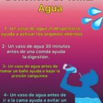 La Importancia Vital de Beber Agua Diariamente