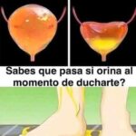 Curiosidades Sobre tu Vejiga y el Momento de Orinar