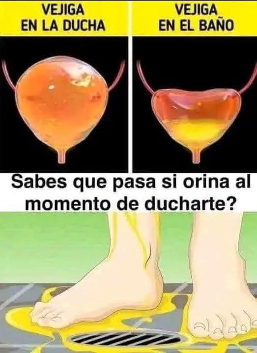 Memes sobre la vejiga en la ducha versus en el baño
