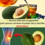 Descubre los Beneficios de la Semilla de Aguacate para la Salud y el Bienestar