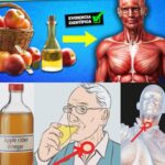 Descubre los Beneficios del Vinagre de Sidra de Manzana Usándolo Todos los Días