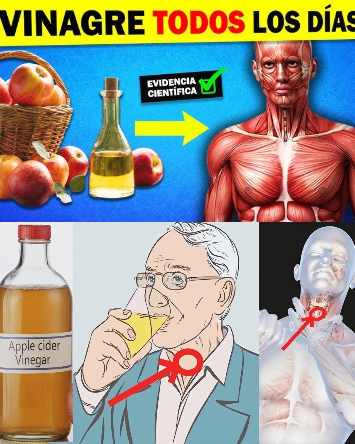 Beneficios del Vinagre de Sidra de Manzana