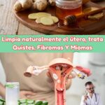 Remedios Naturales para Limpiar el Útero y Tratar Quistes Fibromas y Miomas