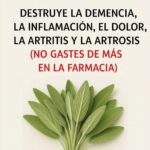 Combate la demencia artritis y migraña de forma natural con salvia