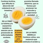 Beneficios del Huevo Hervido para la Salud y la Memoria
