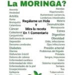Descubre cómo la Moringa puede Transformar tu Salud con una Receta Tradicional
