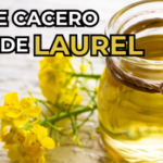 Alivio Natural con Aceite Casero de Laurel para el Dolor